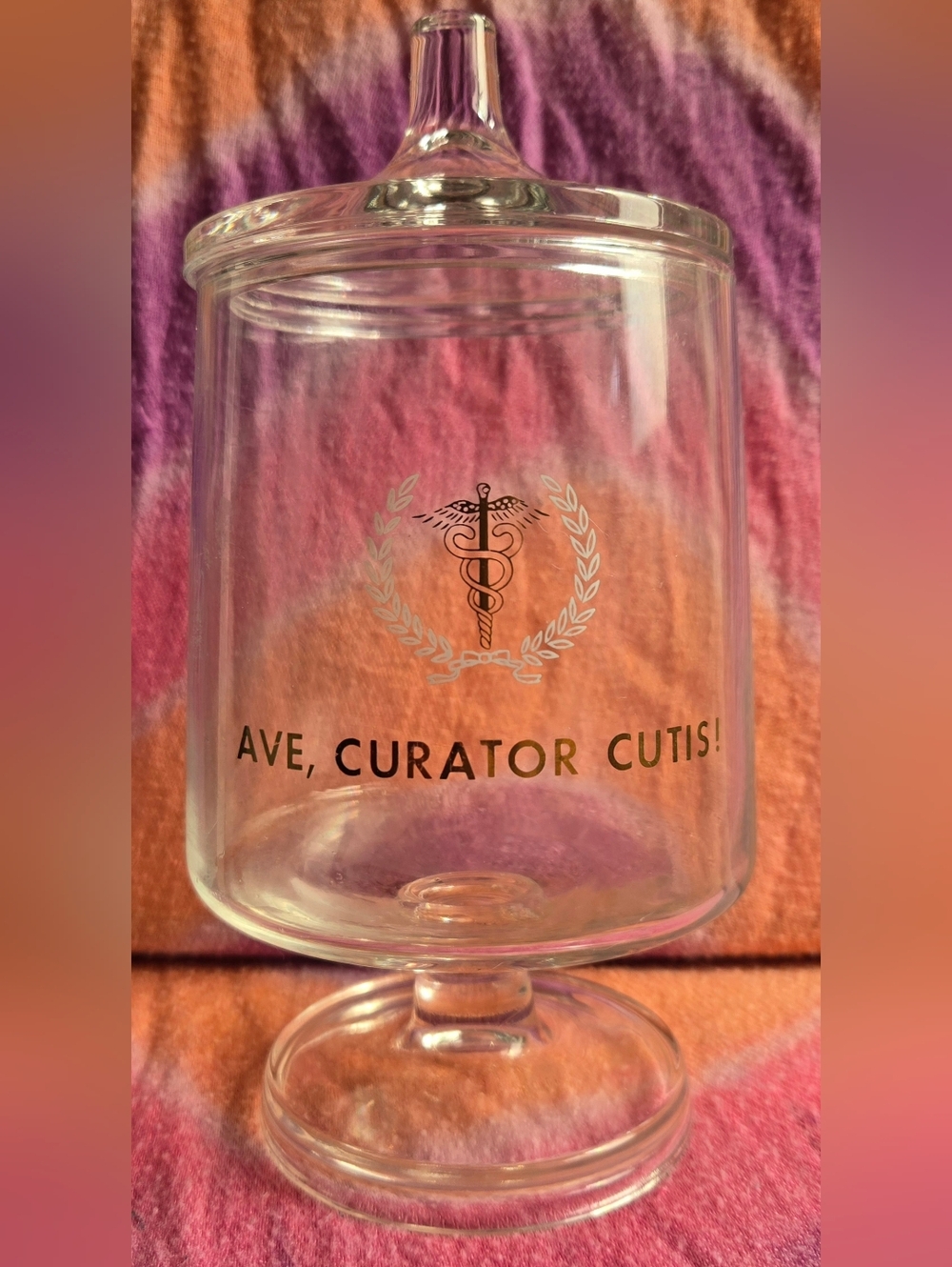 Ave Curator Cutis! Medical Candy Dish With Lid